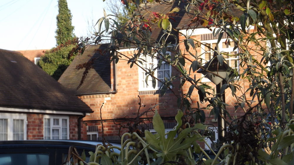 The Peacock Townhouse Hotel Kenilworth - Warwick מראה חיצוני תמונה